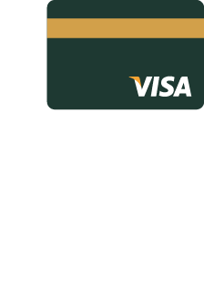 graphic of visa card